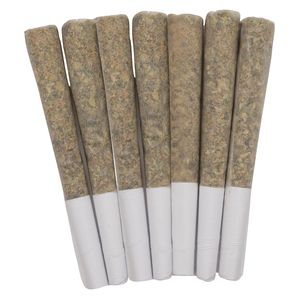 West Coast Gas | Old School Fuel Pre-Roll | 7 x .5g