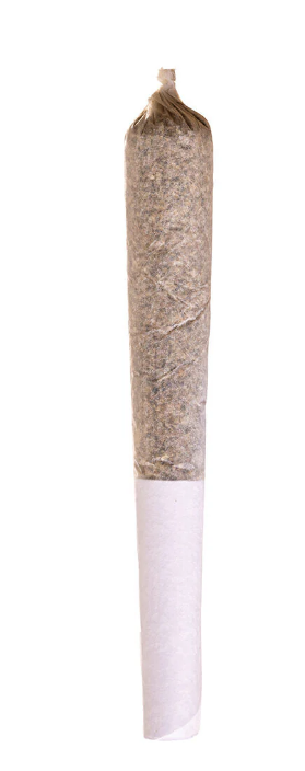 Apple Fritter Pre-Roll | 1x0.5g