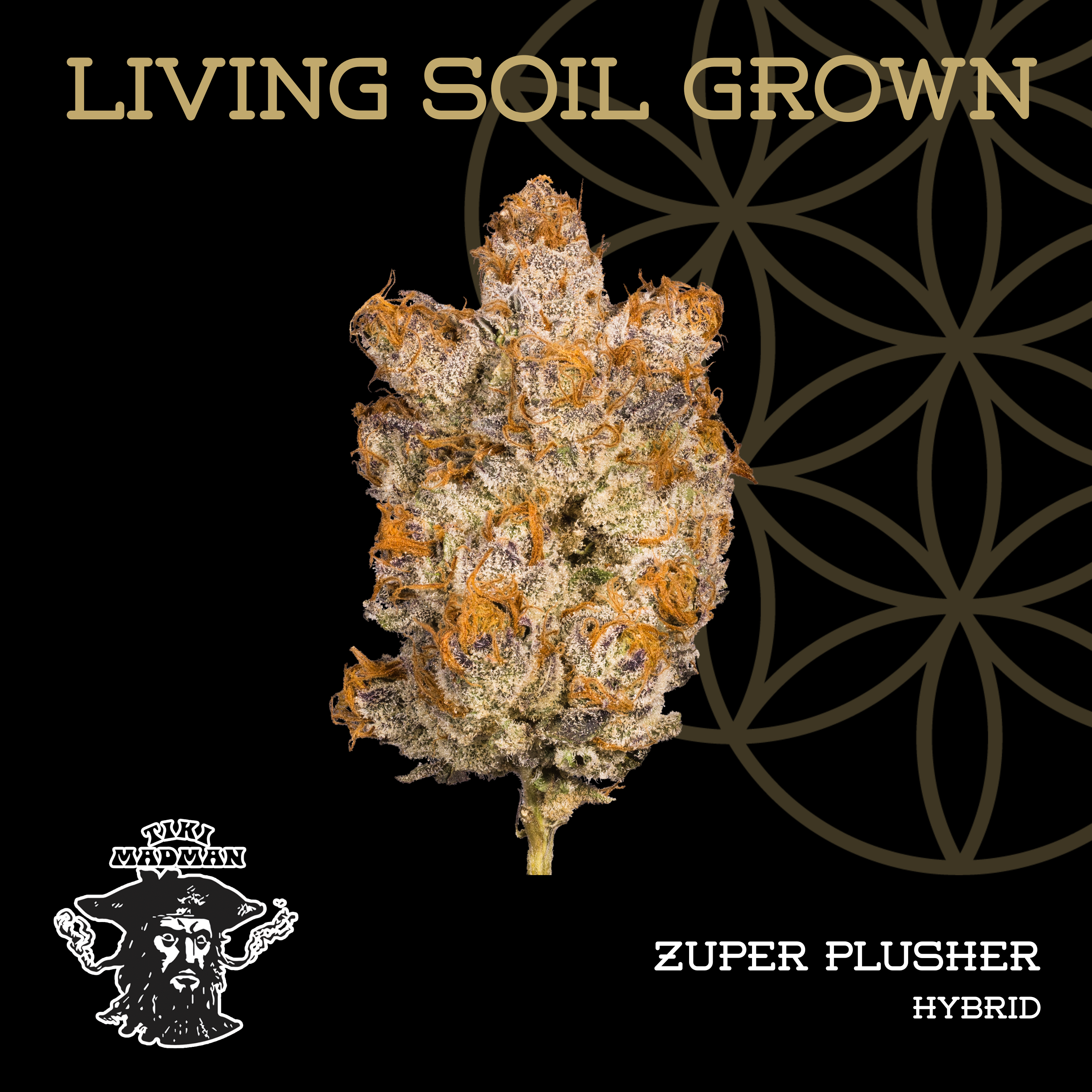 Living Soil | Zuper Plushers | Bulk Deli