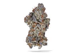 Bouket Deep Space #6 Flower