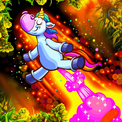 Swift Lift Glitter Bomb /5pk