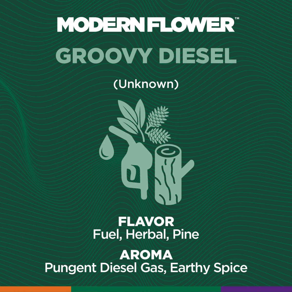 Groovy Diesel -  |  House Packed
