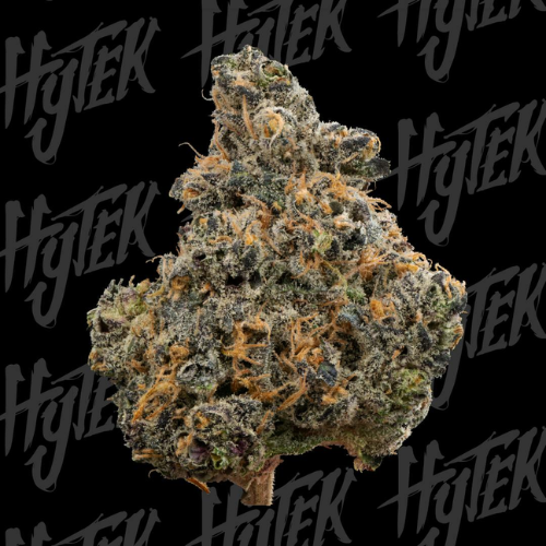 HYTEK - Planet Bangberry - Bulk Flower