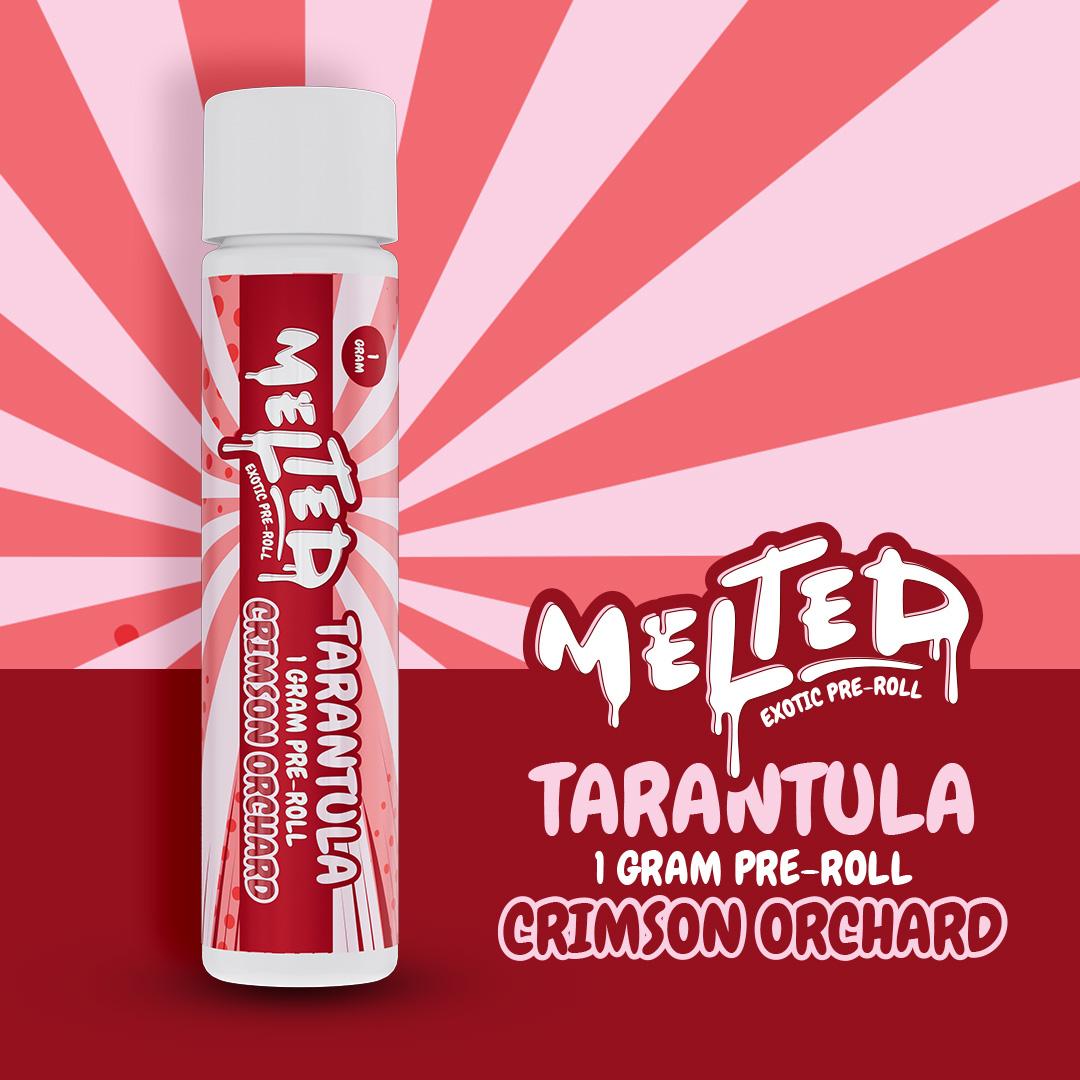 Tarantulas Crimson Orchard