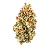 (00379) GST 3.5g Blue Zushi Buds