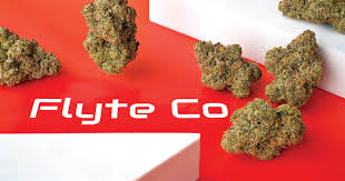Flyte Concentrates: Flyte Co - Chem Dosi - Green Leaf Special