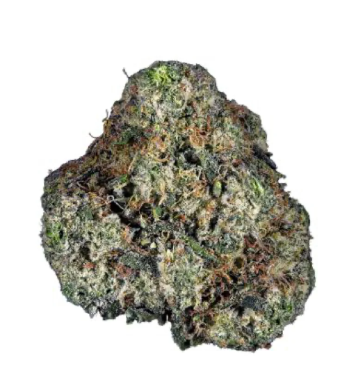MARYLAND HERB CO. 24k 10g