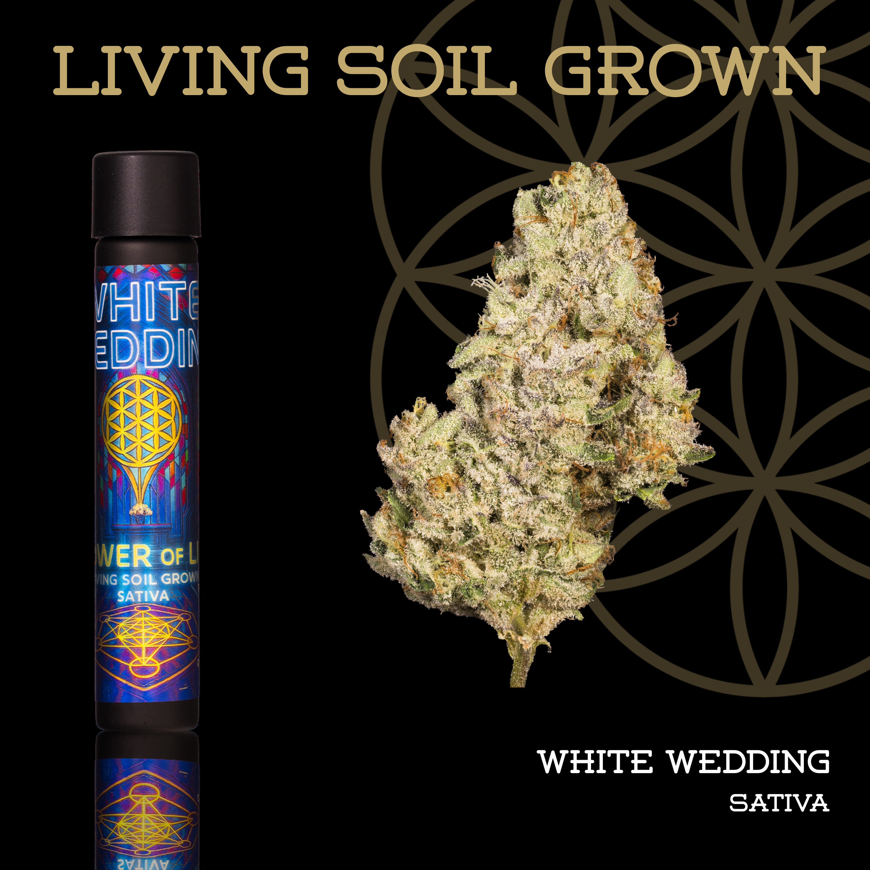 Living Soil | White Wedding | Pre-Roll | 1g