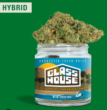 Glass House Farms Zuava Hybrid Flower