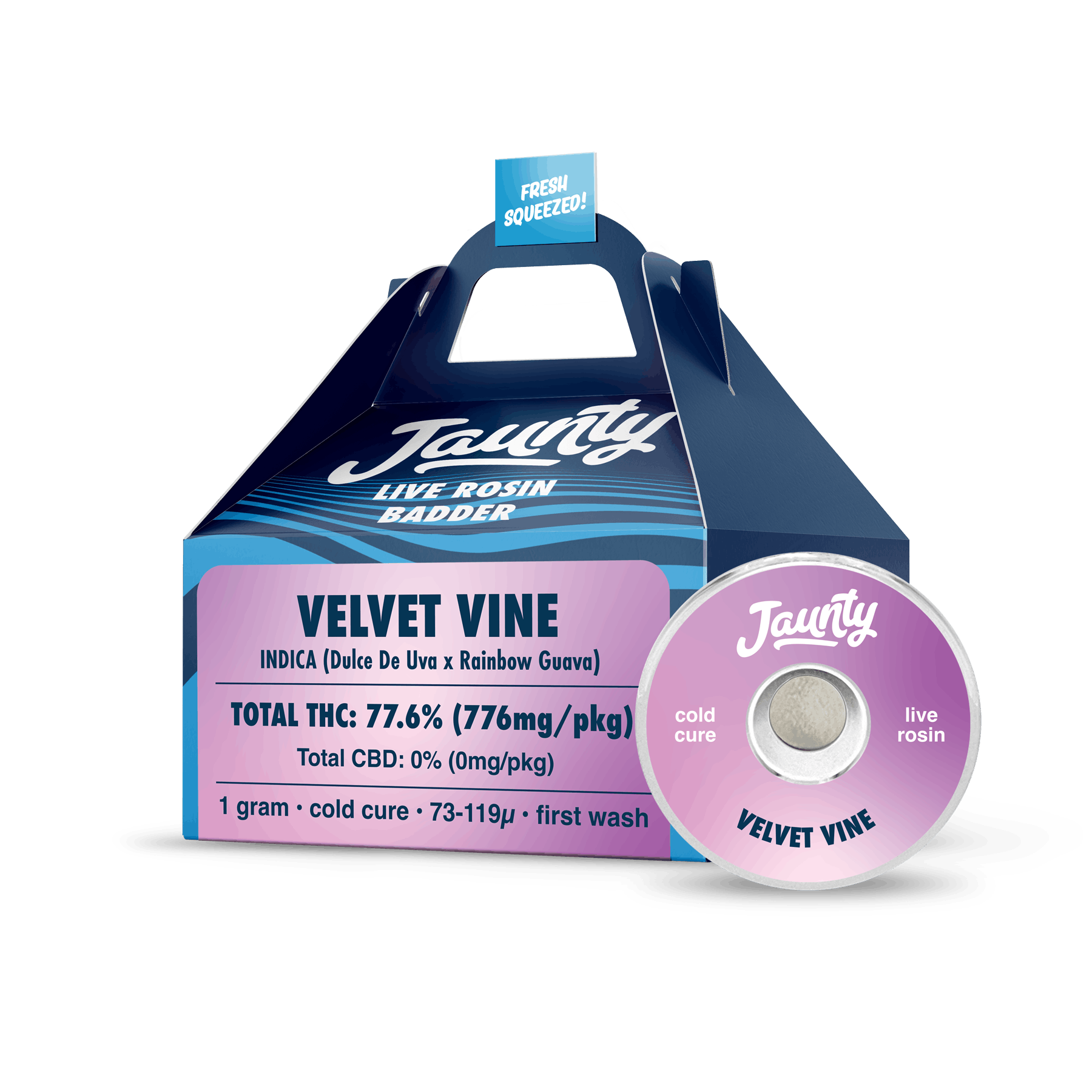 Velvet Vine