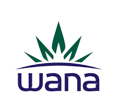 Wana: Quick Acting Chews | Island Punch | Indica | 10mg | 10pk