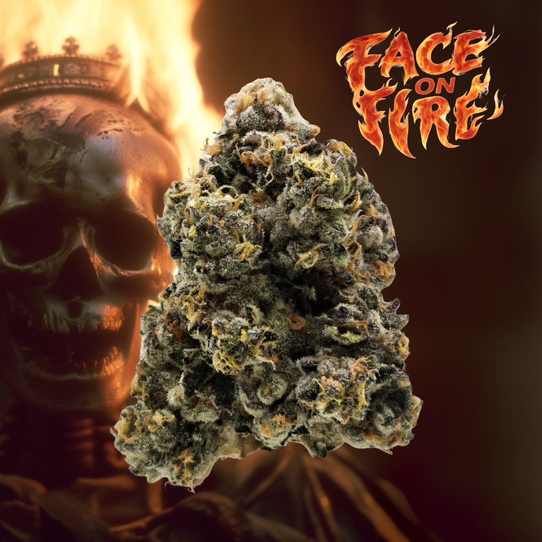 Legacy | Face on Fire | Flower | 3.5g