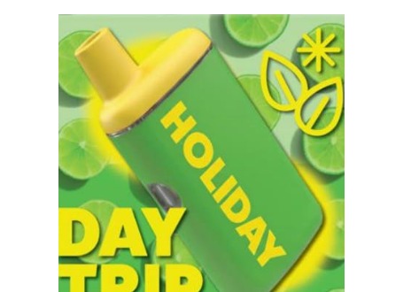 Holiday - Day Trip Disposable Vape - 1g