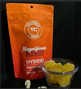 4x50mg Gummies - Mango