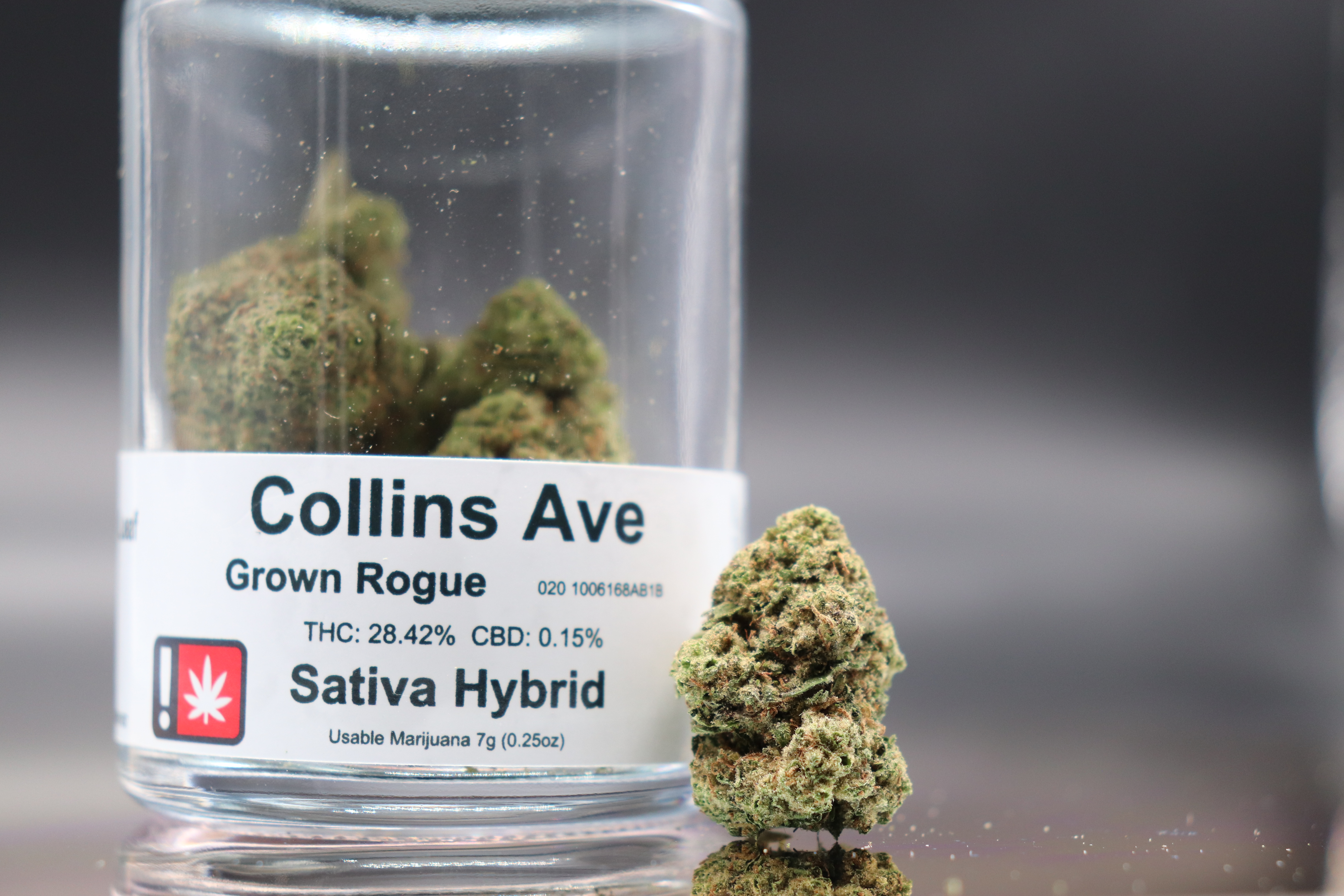 Collins Ave
