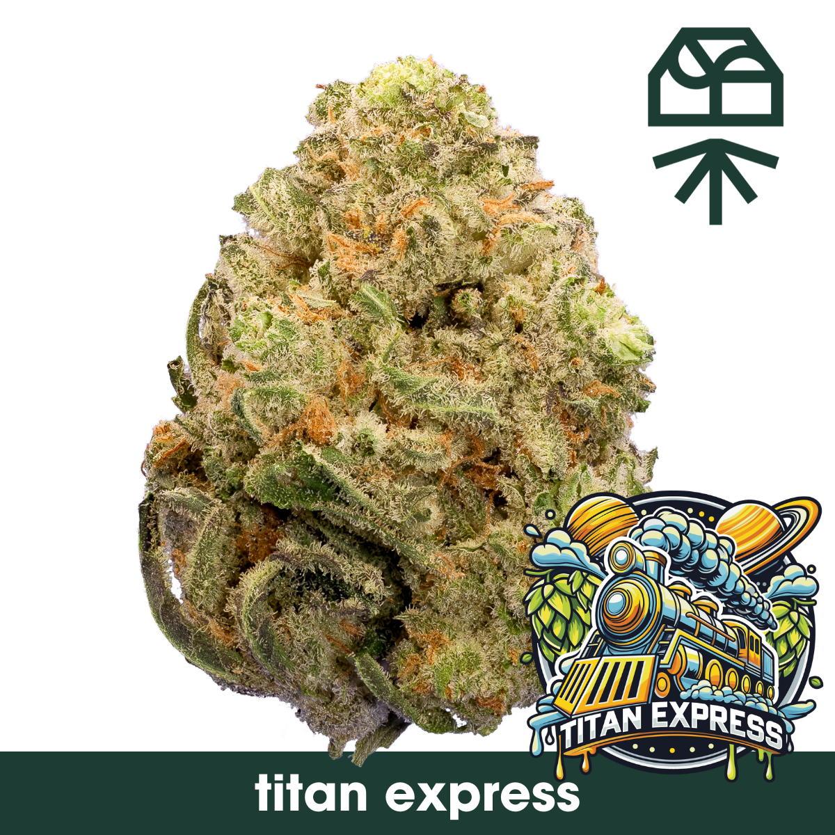 Titan Express Whole Flower | Curaleaf (AZ) - 83rd Dispensary