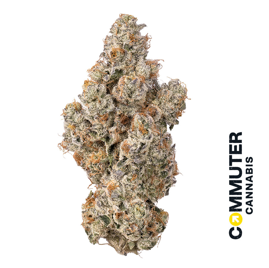 3.5g | Lemon Balm | Commuter