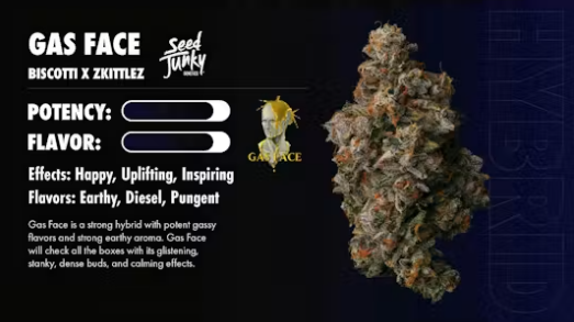 Seed Junky - Gas Face (h) - 3.5g