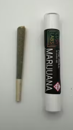 LUSH LABS - RHYTHM ROOT 1G HYBRID