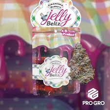 JELLY BELTZ | HYBRID | PRE-PACKAGED 1/8 | 3.5G | REC
