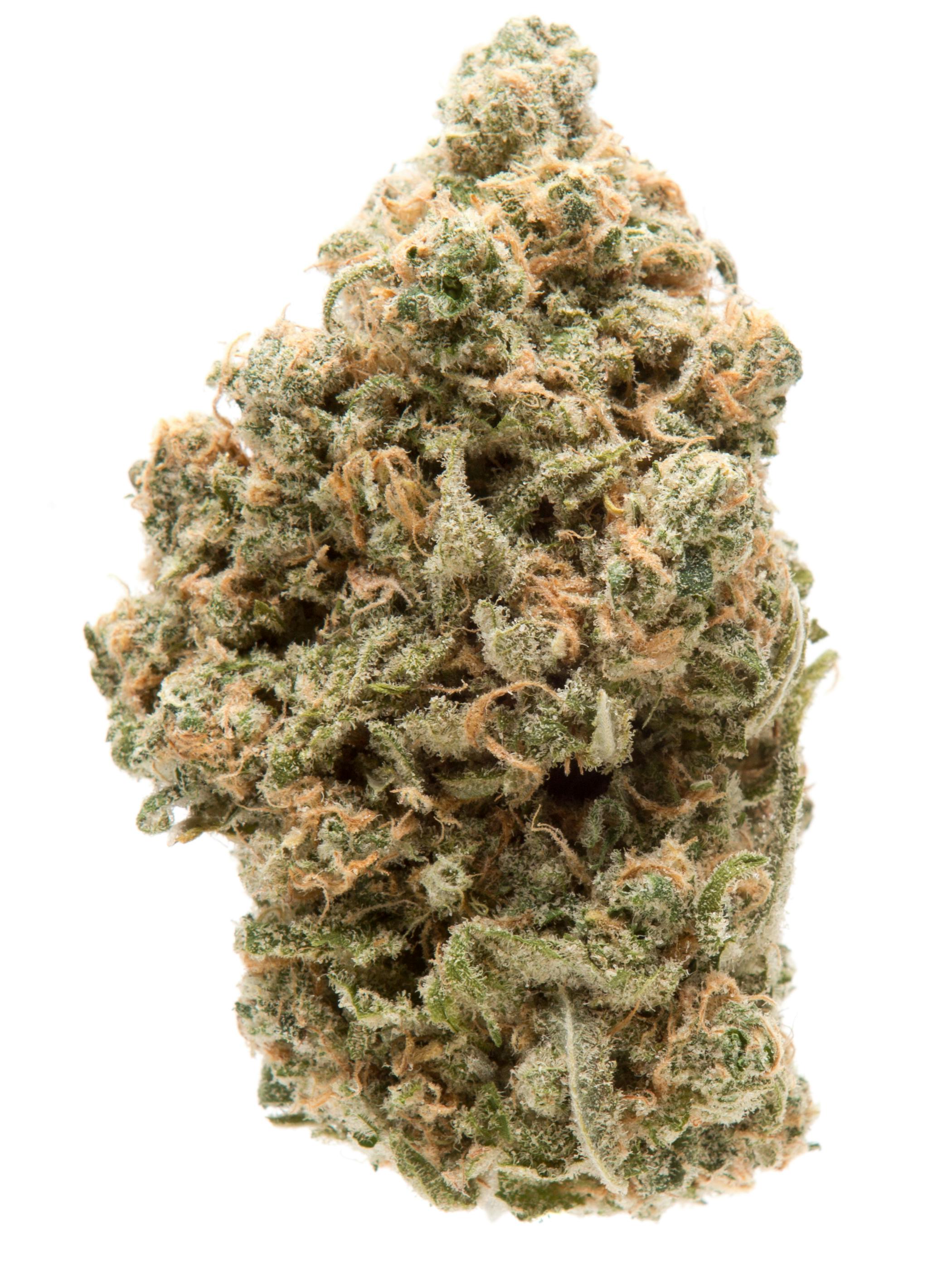 DR Flower POP | Wedding Cake (TP)