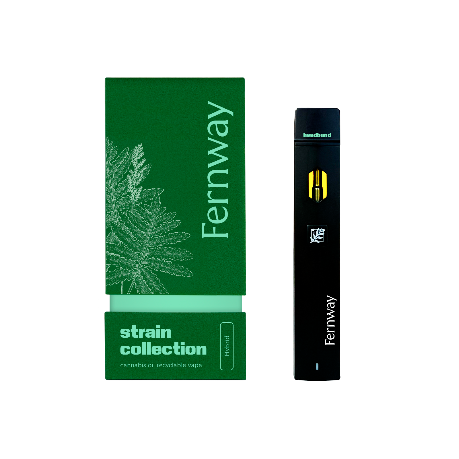 Fernway | Headband | Traveler | Disposable | Verdi