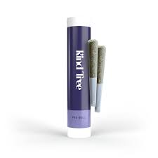 Kind Tree 2pk | Dirty Banana | 1g (Indica)