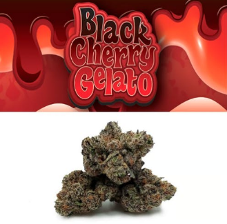 Black Cherry Gelato | Flower Littles | 7g