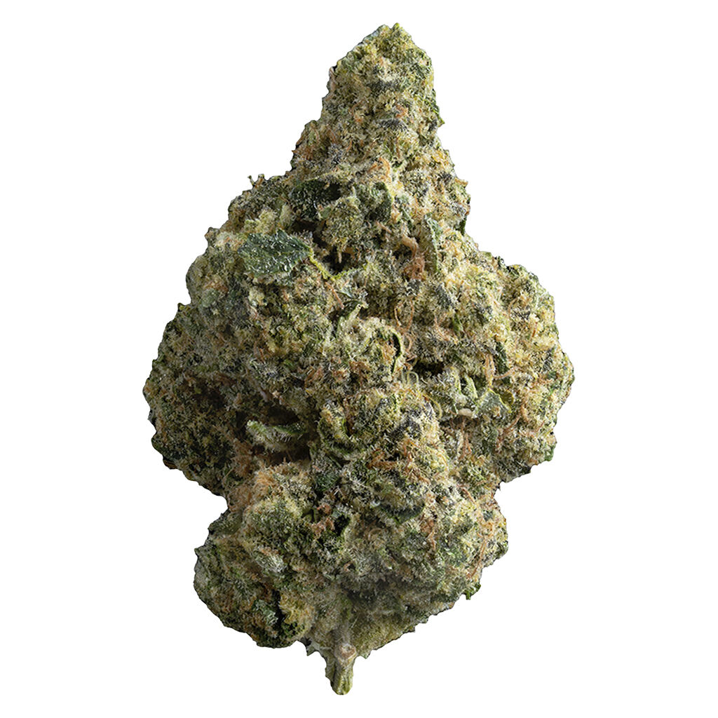 The Republic - The Republic Reserve 25 Plus - Indica
