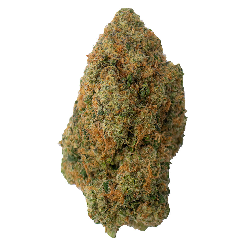 Toba's Indica (White Hot Guava)