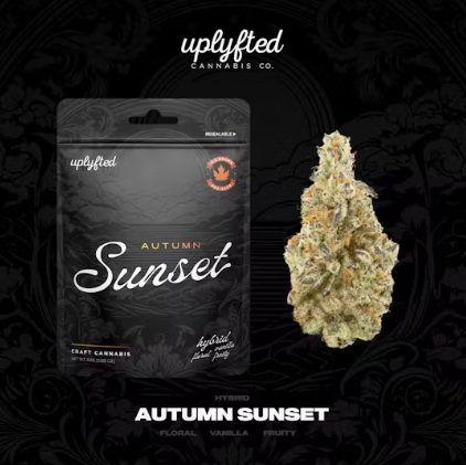 UPLYFTED | AUTUMN SUNSET | PREPACK HYBRID