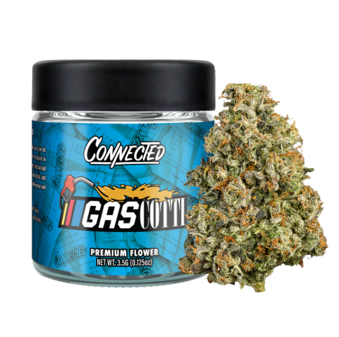 Gascotti [H] - Prepack
