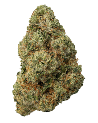 Zips - Loompas Headband