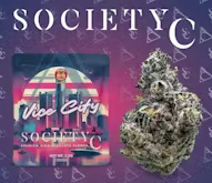 Society C Vice City Pre Packaged
