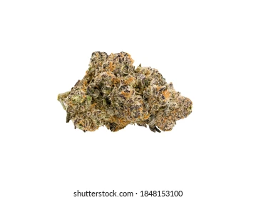 CD HERBAL DYNAMICS | Golden Sunset ($60Q)