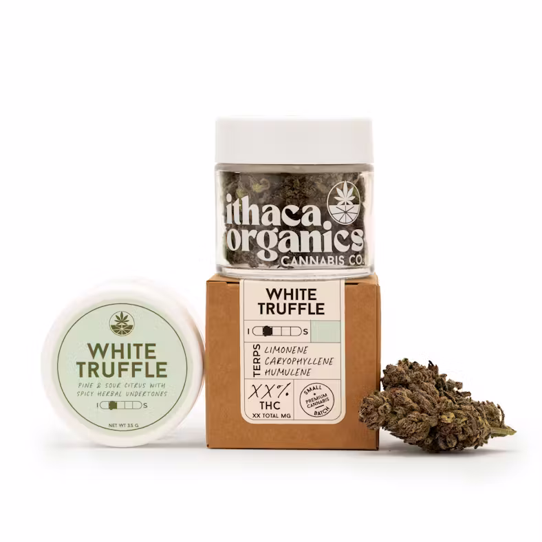 White Truffle