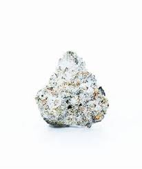 Uptown Orange Powdered Donuts