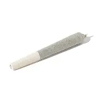 (00418) NAB (0.5g) 14pk Citral Tangie x Green Cherries Pre-rolls