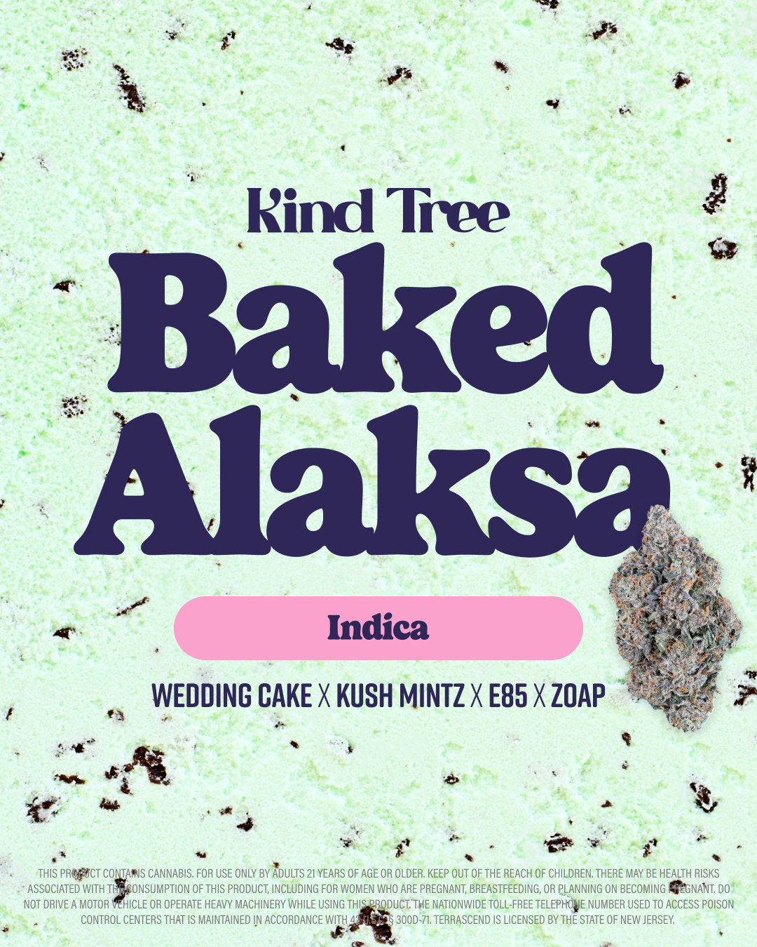 Kind Tree | Baked Alaska 3.