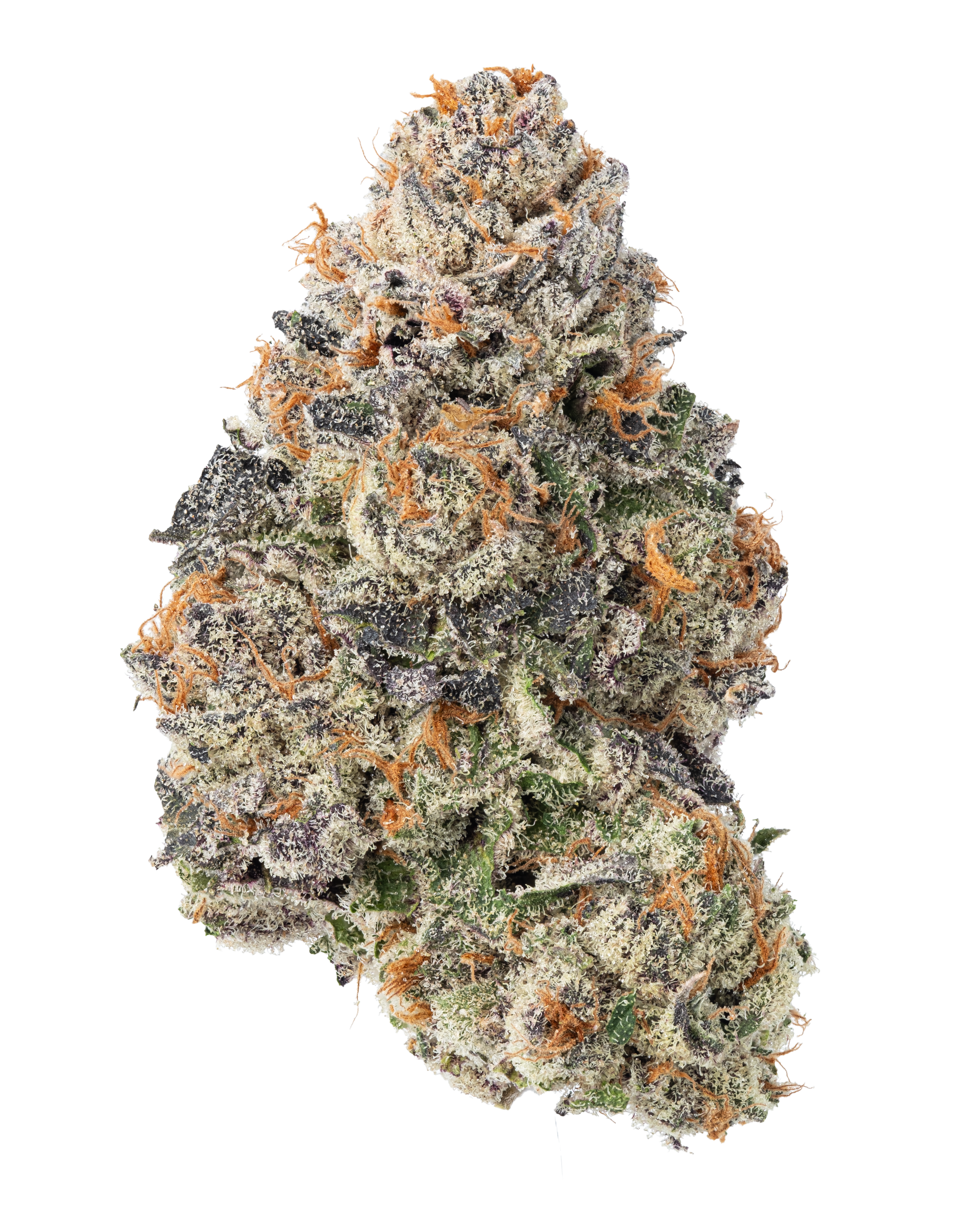 Fresh | Gelonade | 3.5g