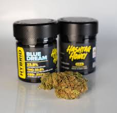 Hashtag Honey - Blue Dream - 3.5g
