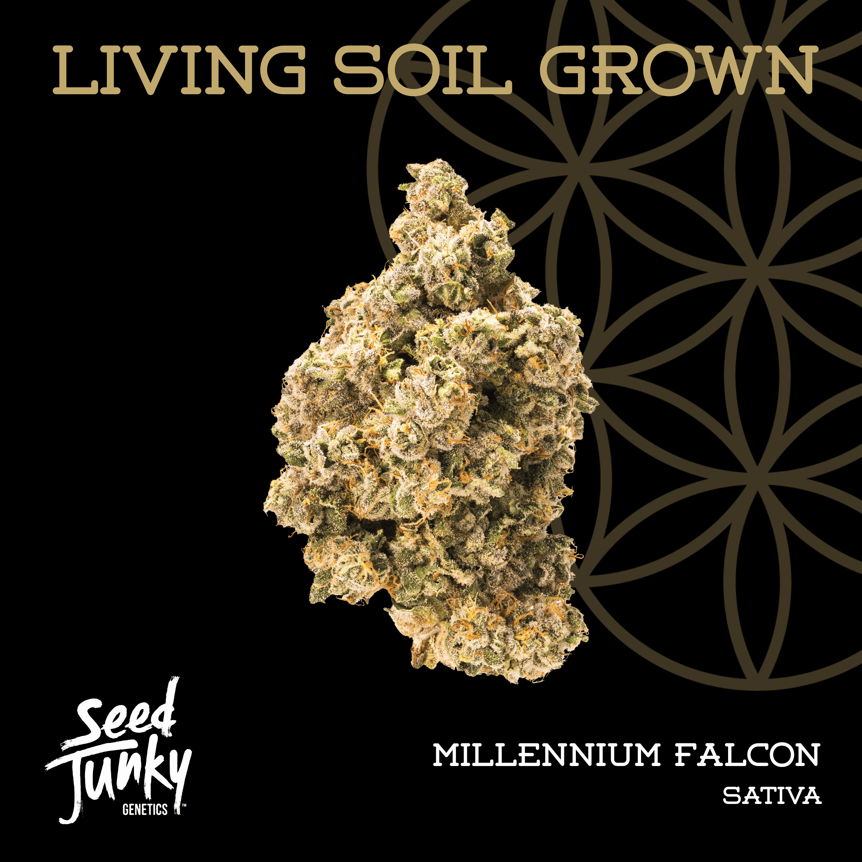 Living Soil | Millennium Falcon | Bulk Deli
