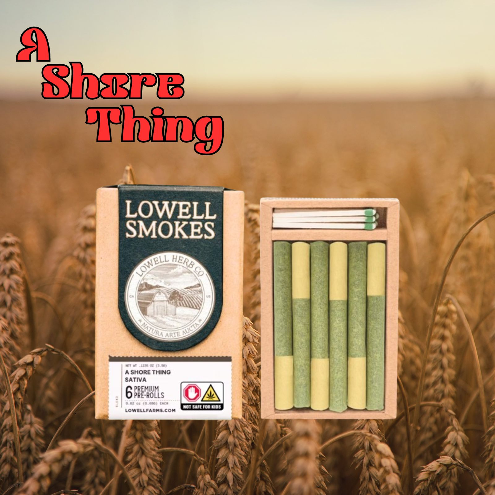 Lowell Smokes 6pk | A Shore Thing (Sativa)
