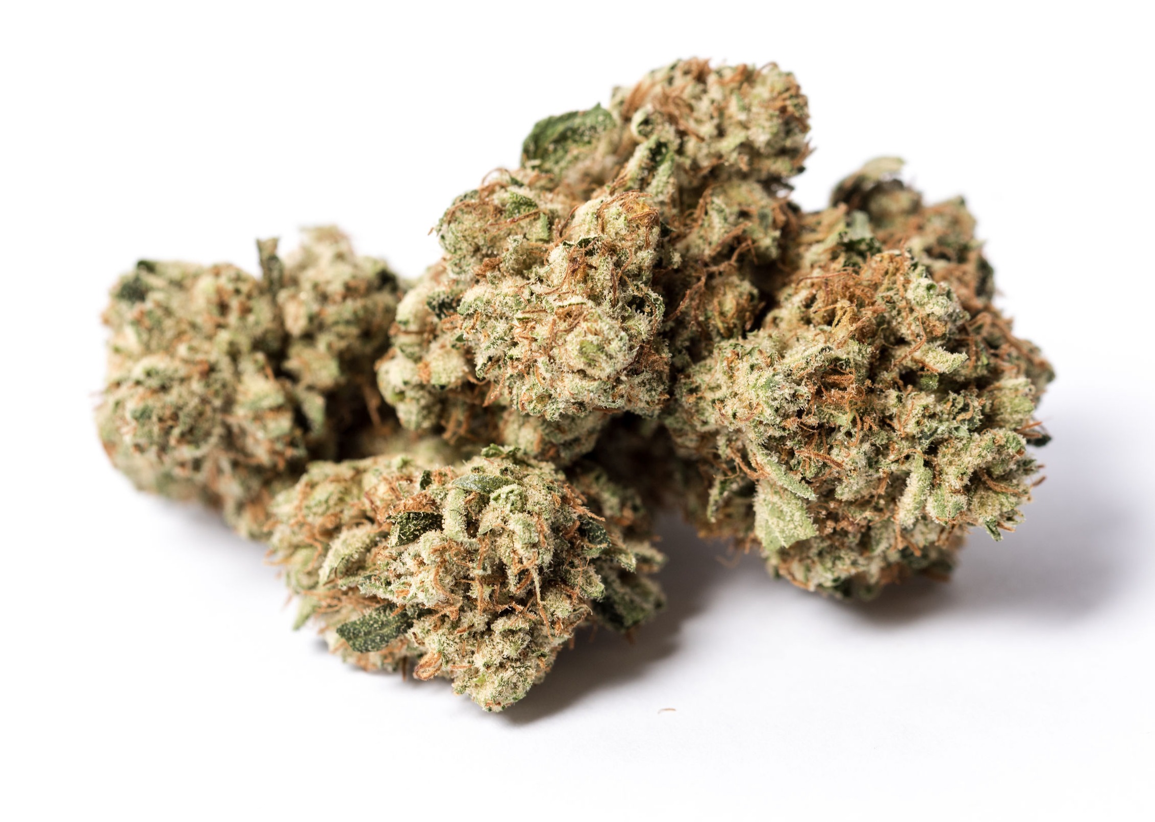 King Louis XIII