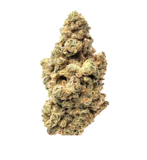 LA Baker | 14g