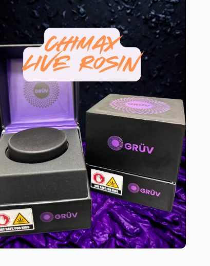 Gruv - Chimax - Live Rosin