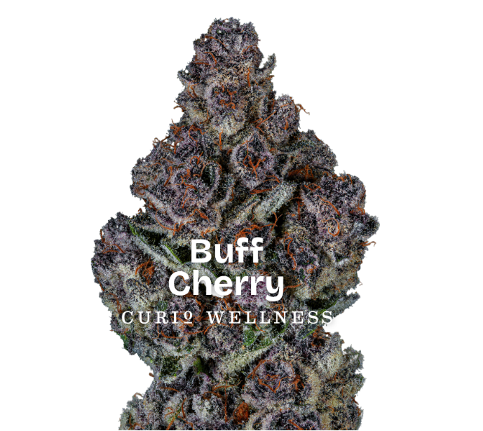 CURIO Super Buff Cherry 3.5g