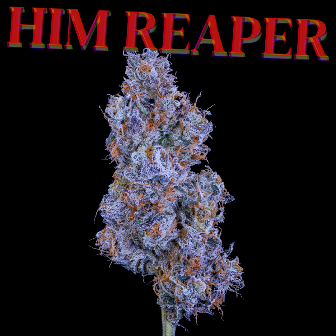 Him Reaper Faded