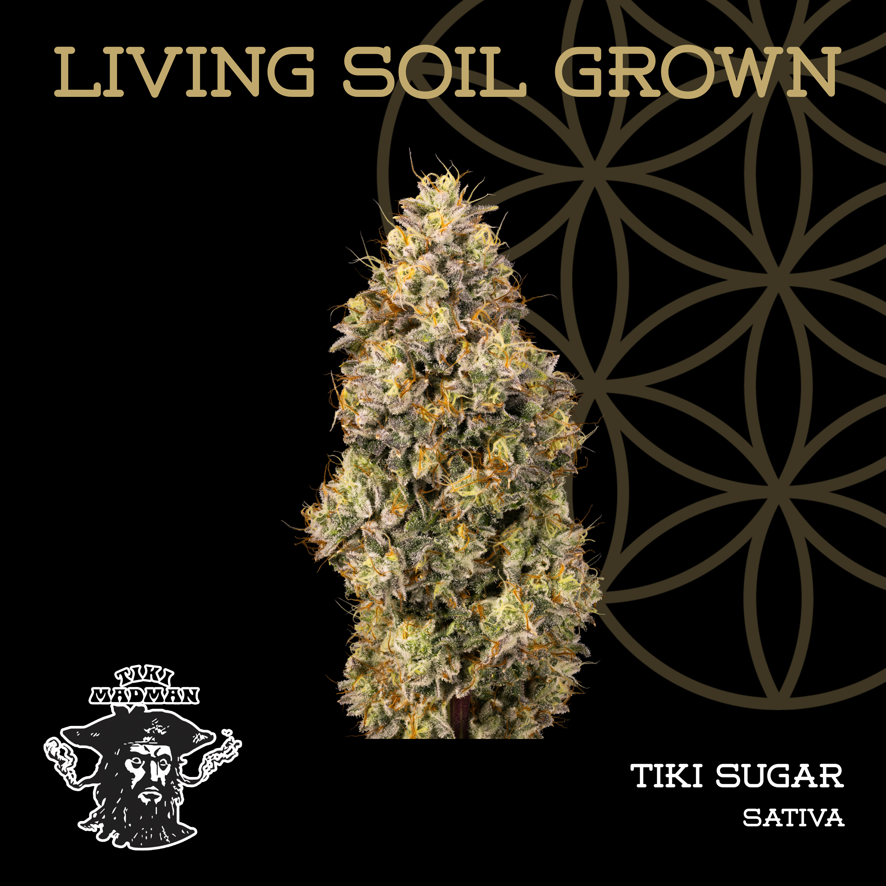 Living Soil | Tiki Sugar | Bulk Deli