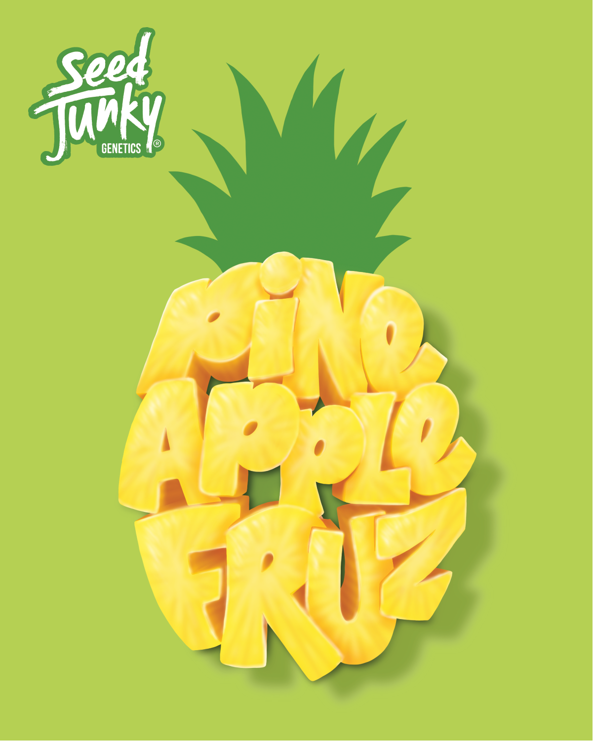 Bulk Flower Buds - Pineapple Fruz